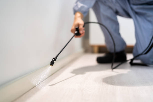 Licensed Termite Control service in Depoe Bay, OR - Nex Pest Control