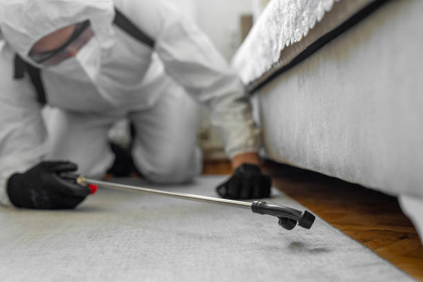 Professional Termite Control technician working in Depoe Bay, OR