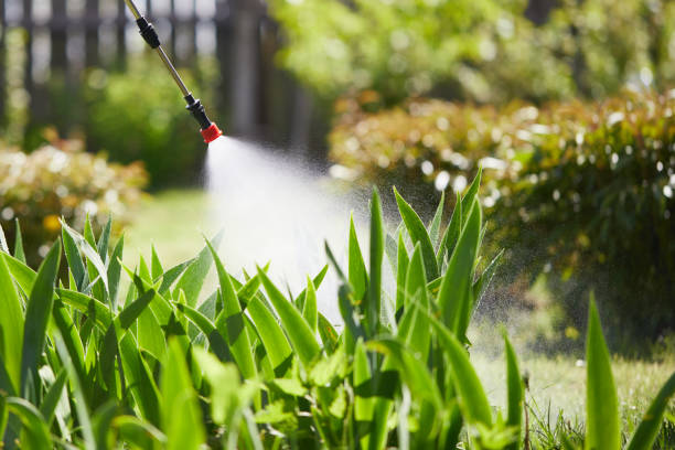 24/7 Emergency Termite Control experts in Depoe Bay, OR