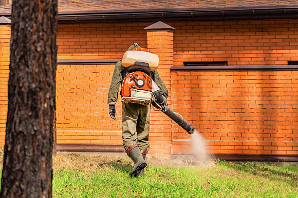 Top rated local Termite Control specialists in Depoe Bay, OR